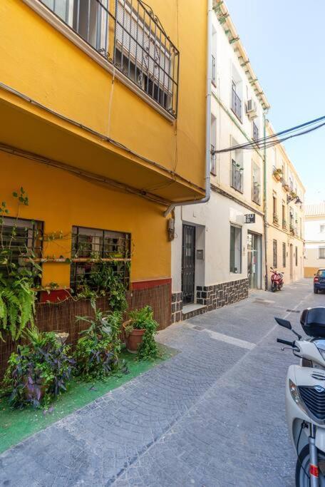3 Bedroom Flat In Historic Centre 말라가 외부 사진